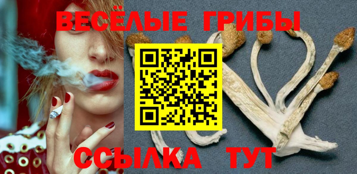 Галлюциногенные грибы мухоморы Ессентуки