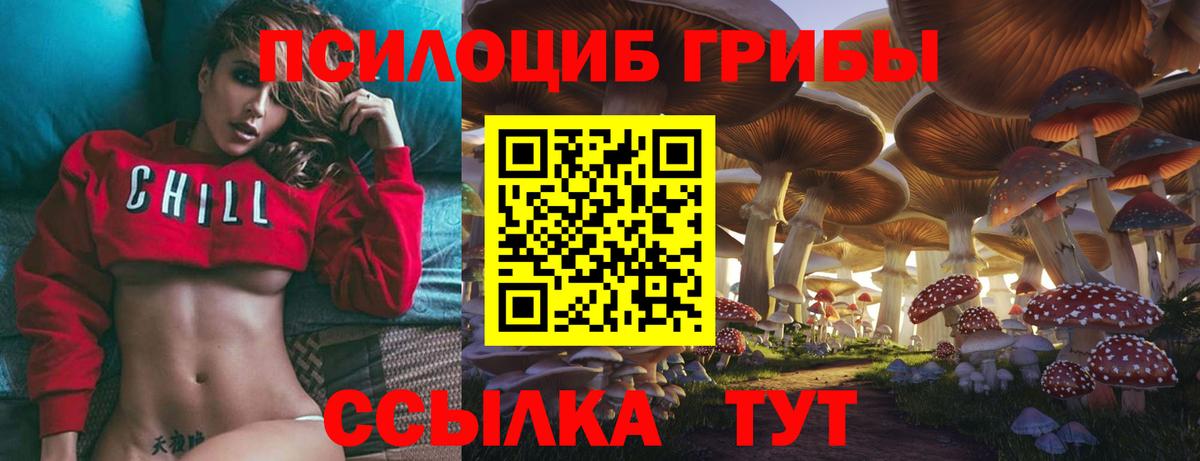 Псилоцибиновые грибы GOLDEN TEACHER  Вход с VPN  Ессентуки  Псилоцибиновые грибы Cubensis 